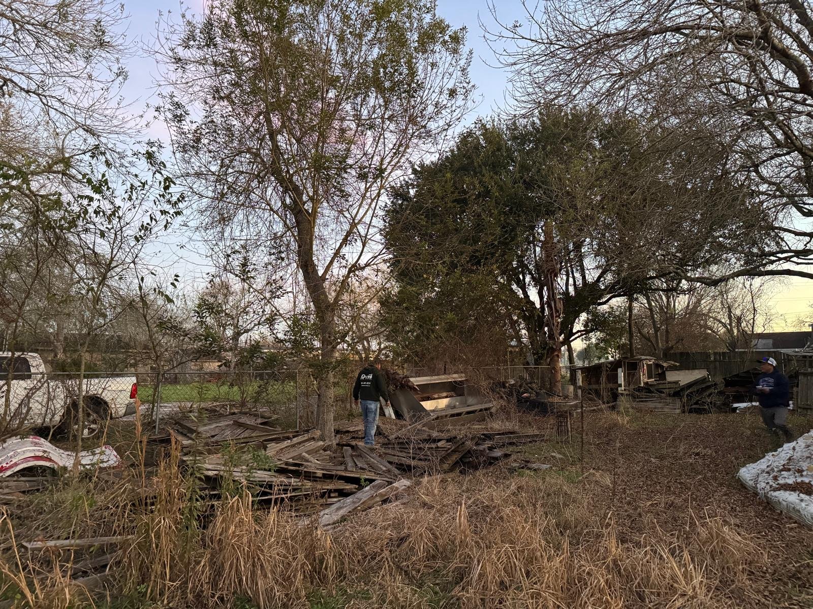 Overgrown property before lot clearing work